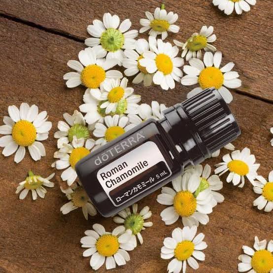 人気商品 Doterra アロマ ドテラ エッセンシャルオイル 5ml ローマンカモミール その他 Afols Pl