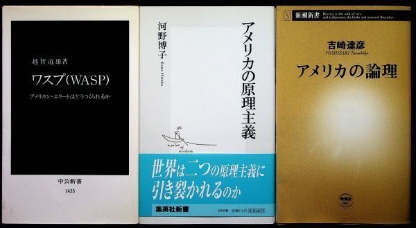 【送料無】吉崎達彦・河野博子・越智道雄『新書3冊 アメリカの論理・アメリカの原理主義・ワスプ(WASP)』03/06/98年、中古 #576_画像1