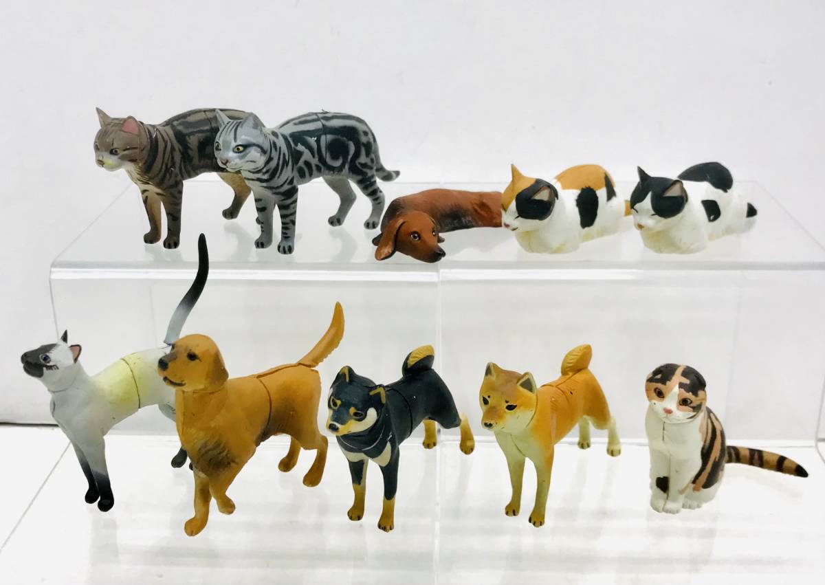 チョコエッグペット動物コレクション 猫セット匿名配送 - 通販