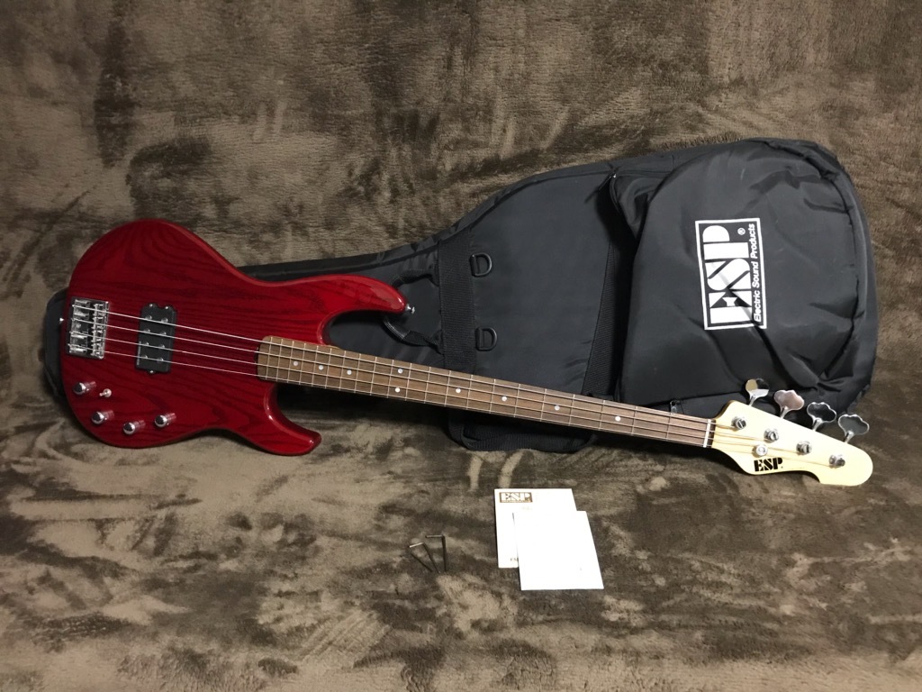 メール便なら送料無料 美品 【4826】 ESP AP/R See 24フレット仕様