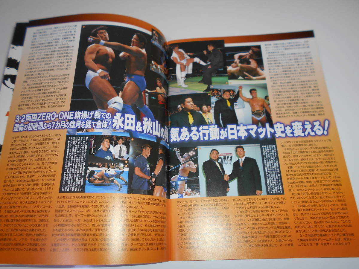 パンフレット 新日本プロレス パンフ ２００１ ＩＮＤＩＣＡＴＥ OF NEXT 10.8 馳浩 秋山 準 永田 裕志 武藤敬司 佐々木健介 藤田和之_画像4