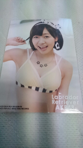 AKB48 ラブラドールレトリバー 通常盤 生写真 須田亜香里