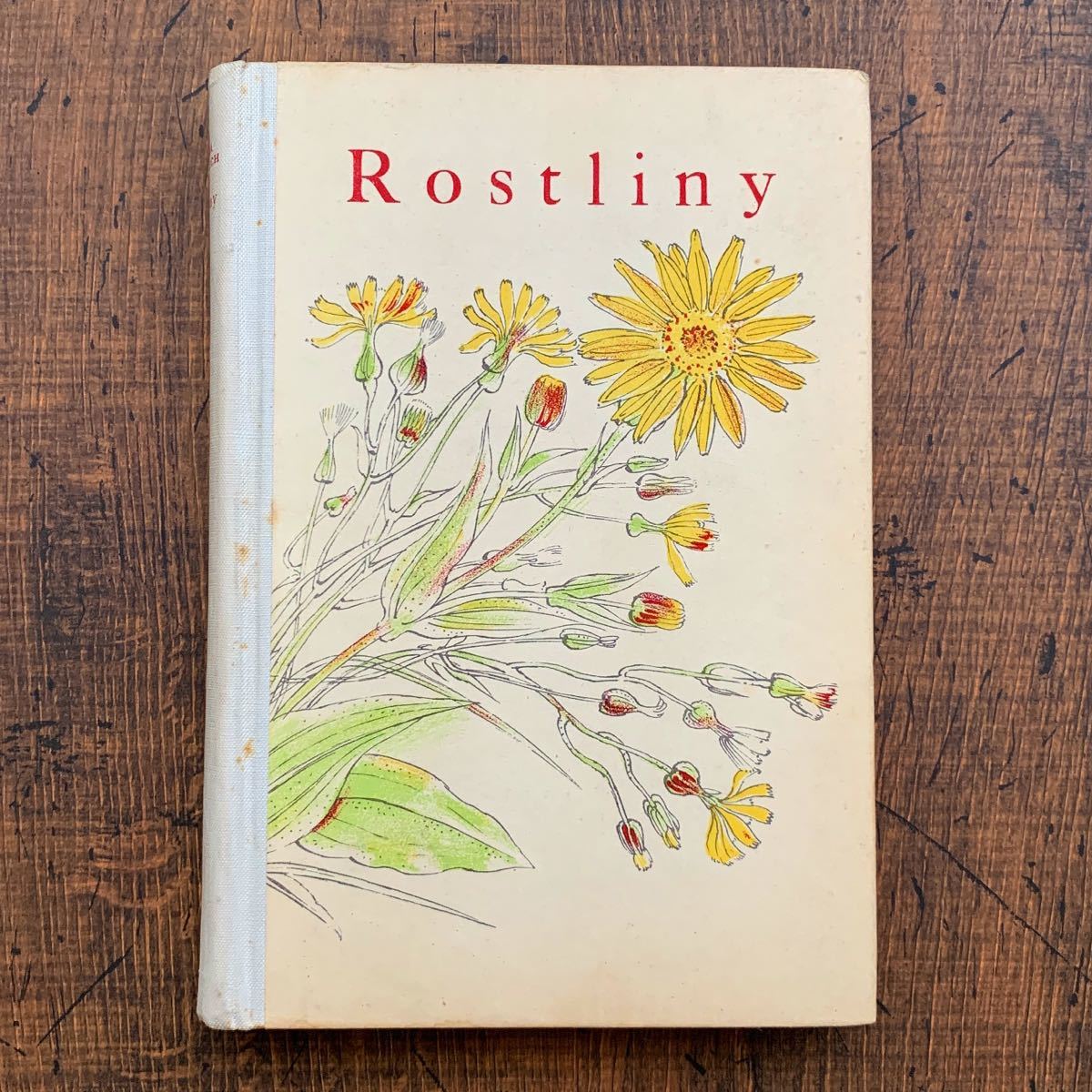 チェコの古い植物図鑑( Rostliny 1946年)/アンティーク チェコの古い植物図鑑( Rostliny 1946年)/アンティーク