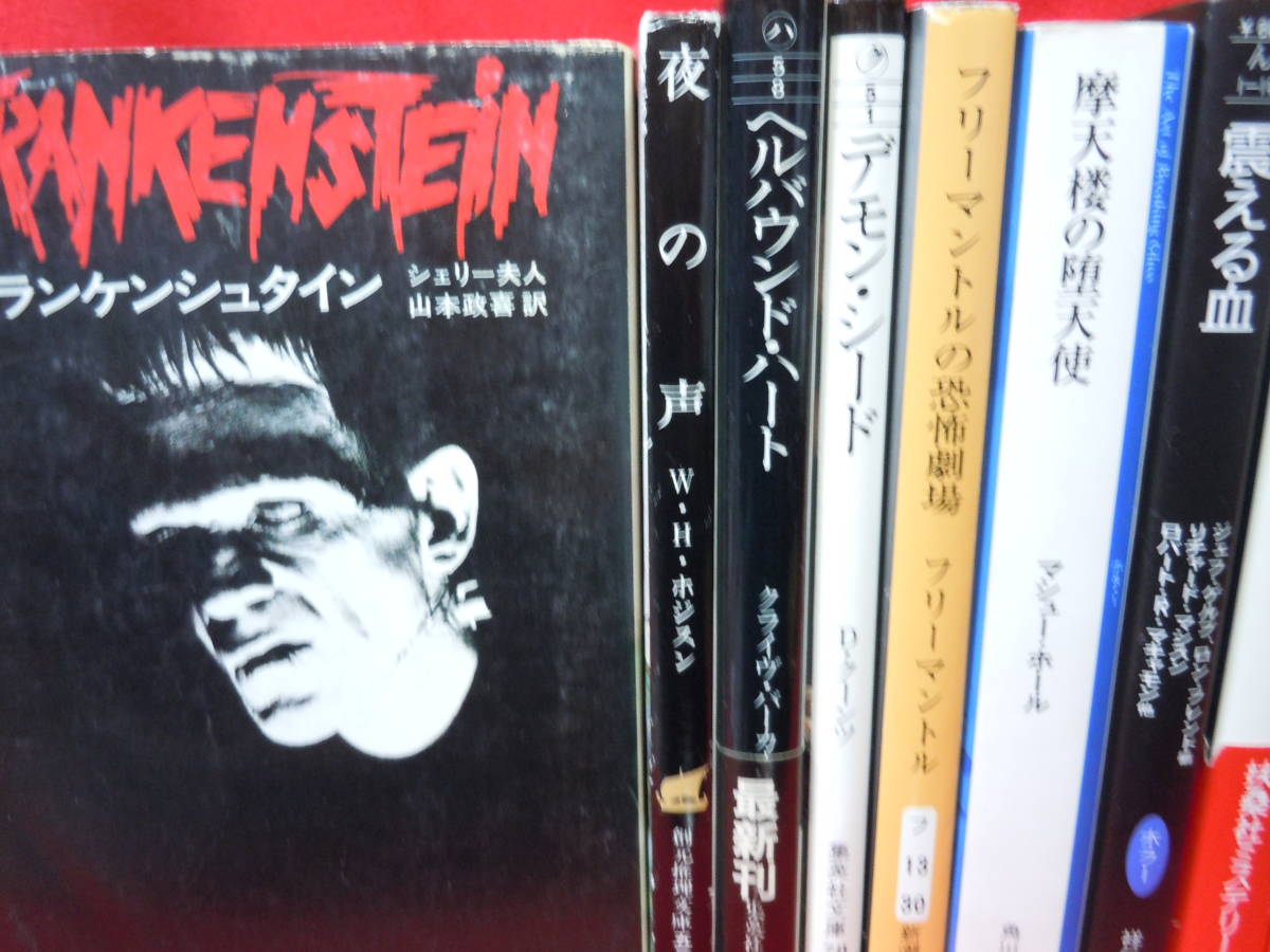 即決★ホラー小説14冊セット、フランケンシュタイン、呪われ者の女王上下、邪教集団トワイライトの追撃上下、浮遊死体、他★_画像3