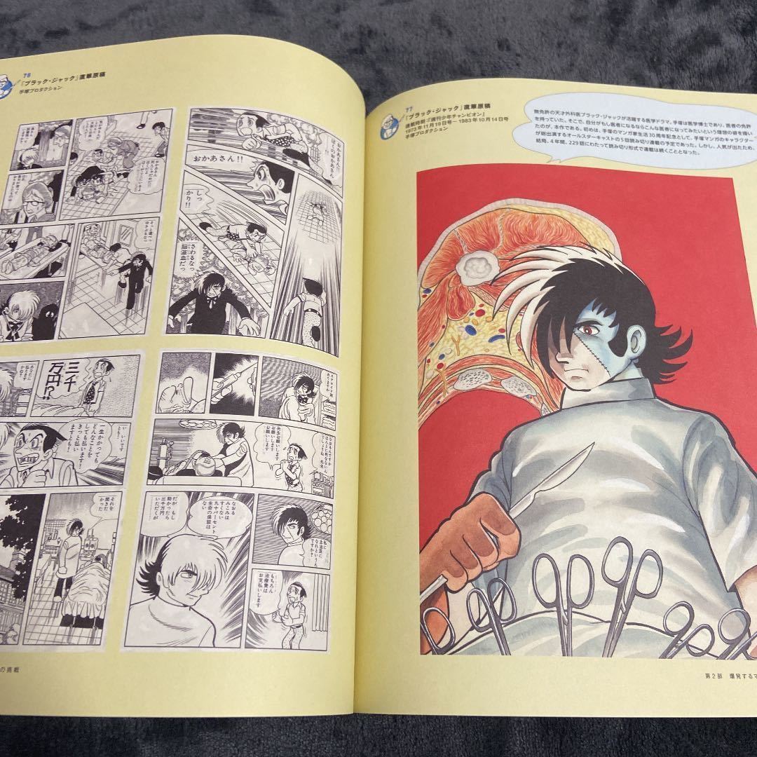 状態良好『特別展 手塚治虫&石ノ森章太郎 マンガのちから』 図録 状態良好『特別展 手塚治虫&石ノ森章太郎 マンガのちから』 図録