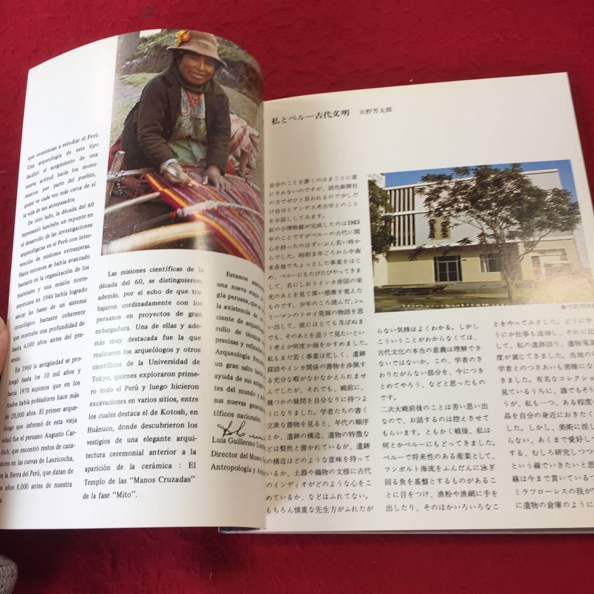 YQ342 古代アンデスの生と死を探る インカ文明とミイラ展 読売新聞社 1975年発行 国立リマ人類学考古学博物館 天野博物館 ペルー_画像5