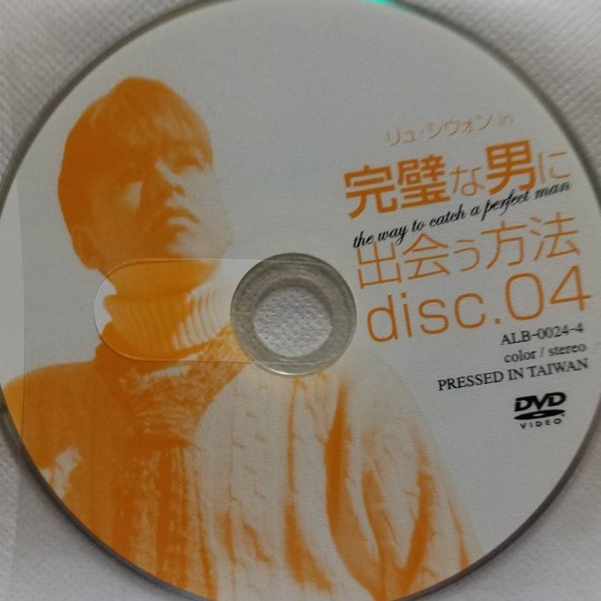 韓国ドラマ　完璧な男　全話 DVD