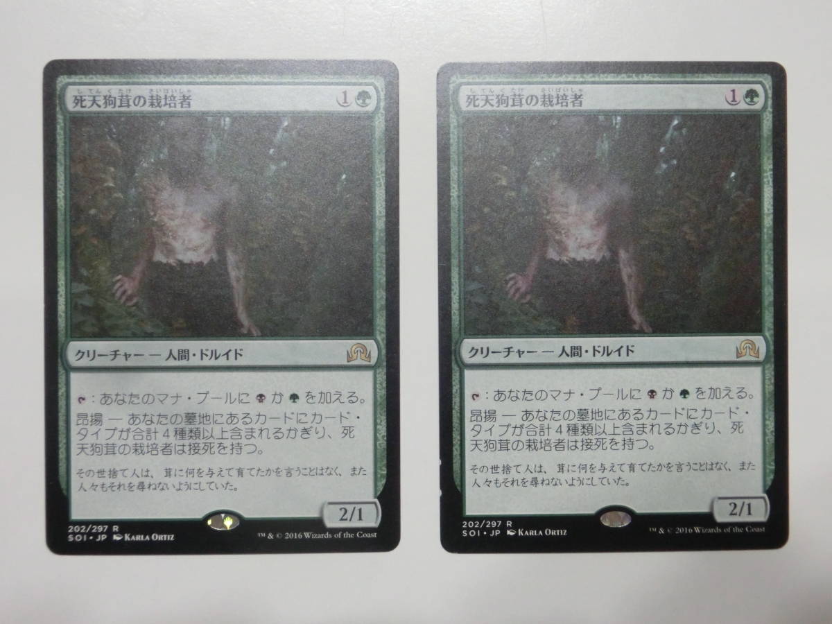 【MTG】死天狗茸の栽培者　日本語2枚セット　イニストラードを覆う影　SOI　レア_画像1