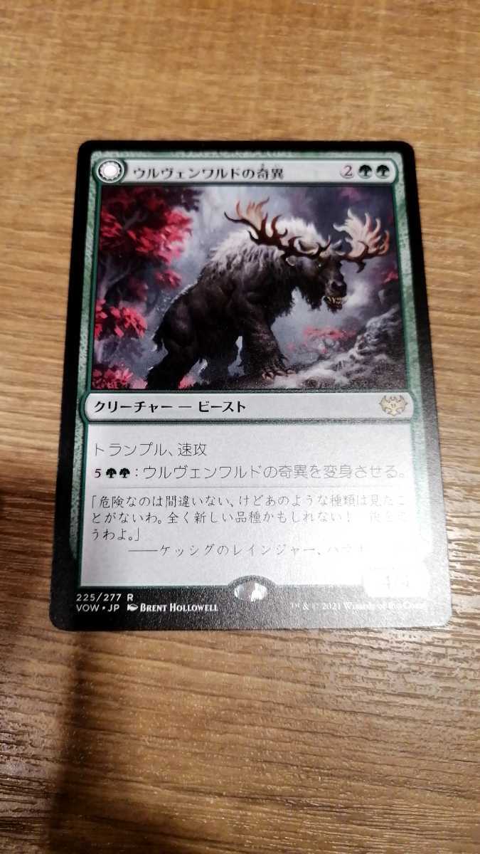 ウルヴェンワルドの奇異　MTG　日本語　即決送料無料_画像1