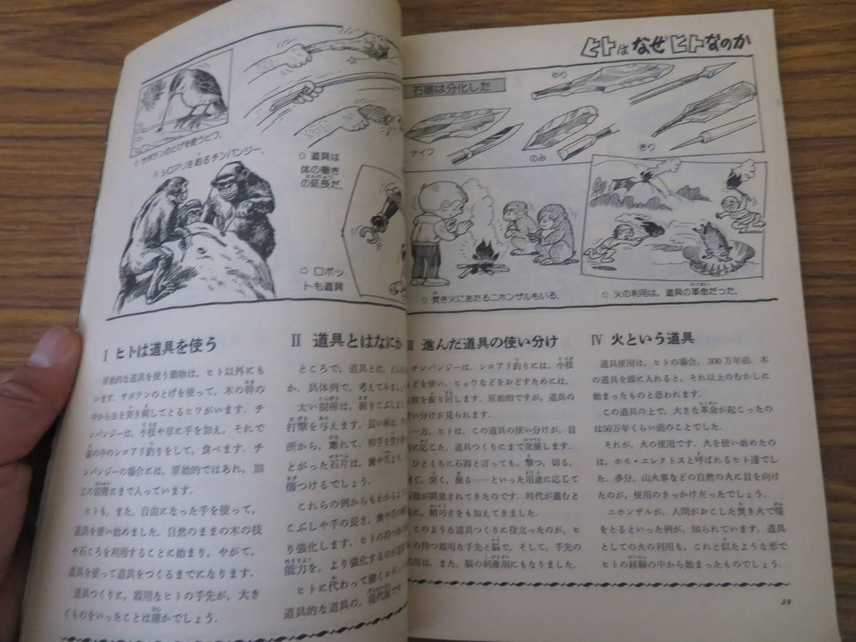 子供の科学　1983年11月号　ヒトキノコ栽培宇宙旅行発電装置天文教室/R23_画像7