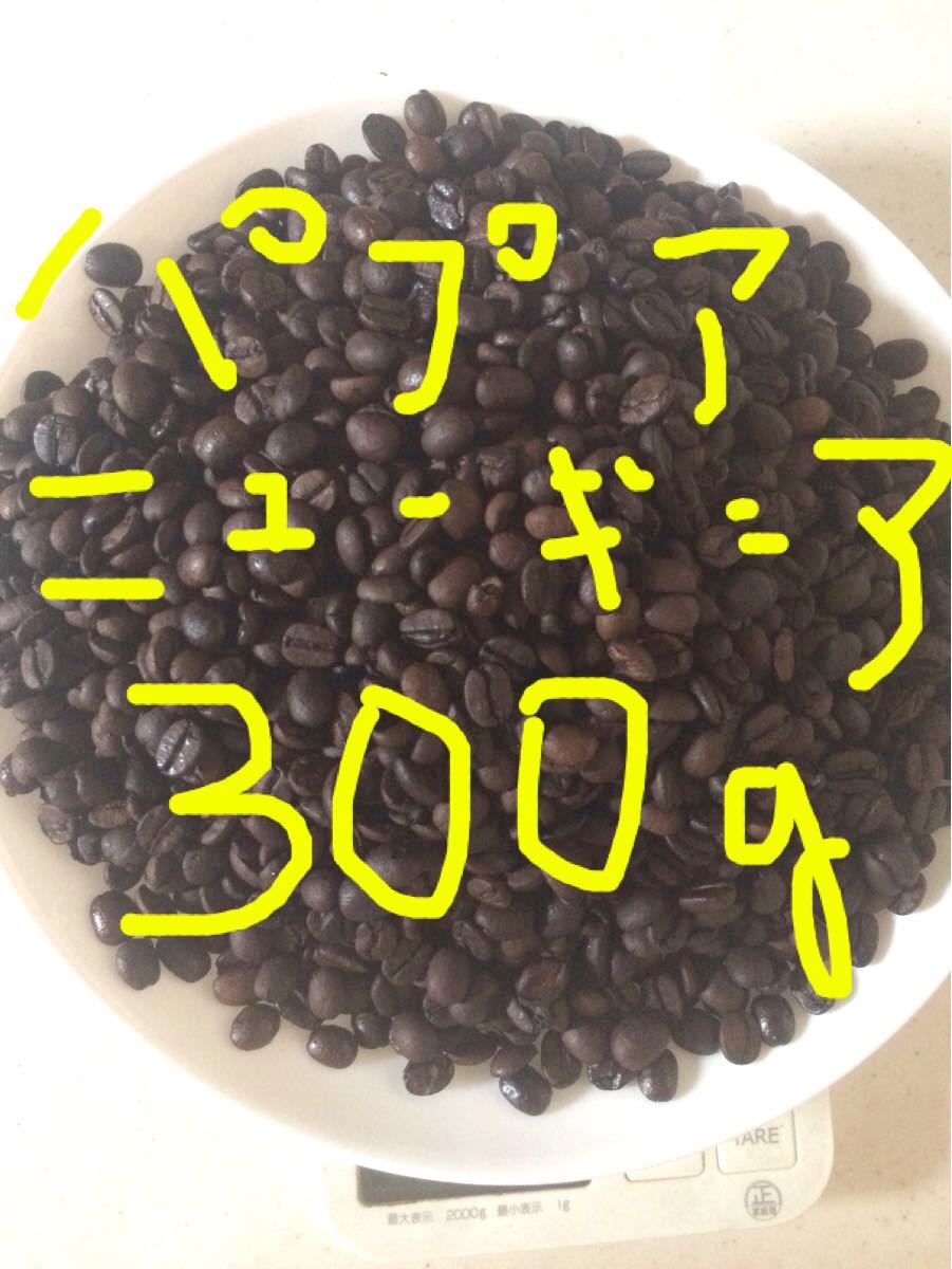 こだわりコーヒー豆 300g パプア・ニューギニア ダイガッドSP 中深煎り 自家焙煎珈琲