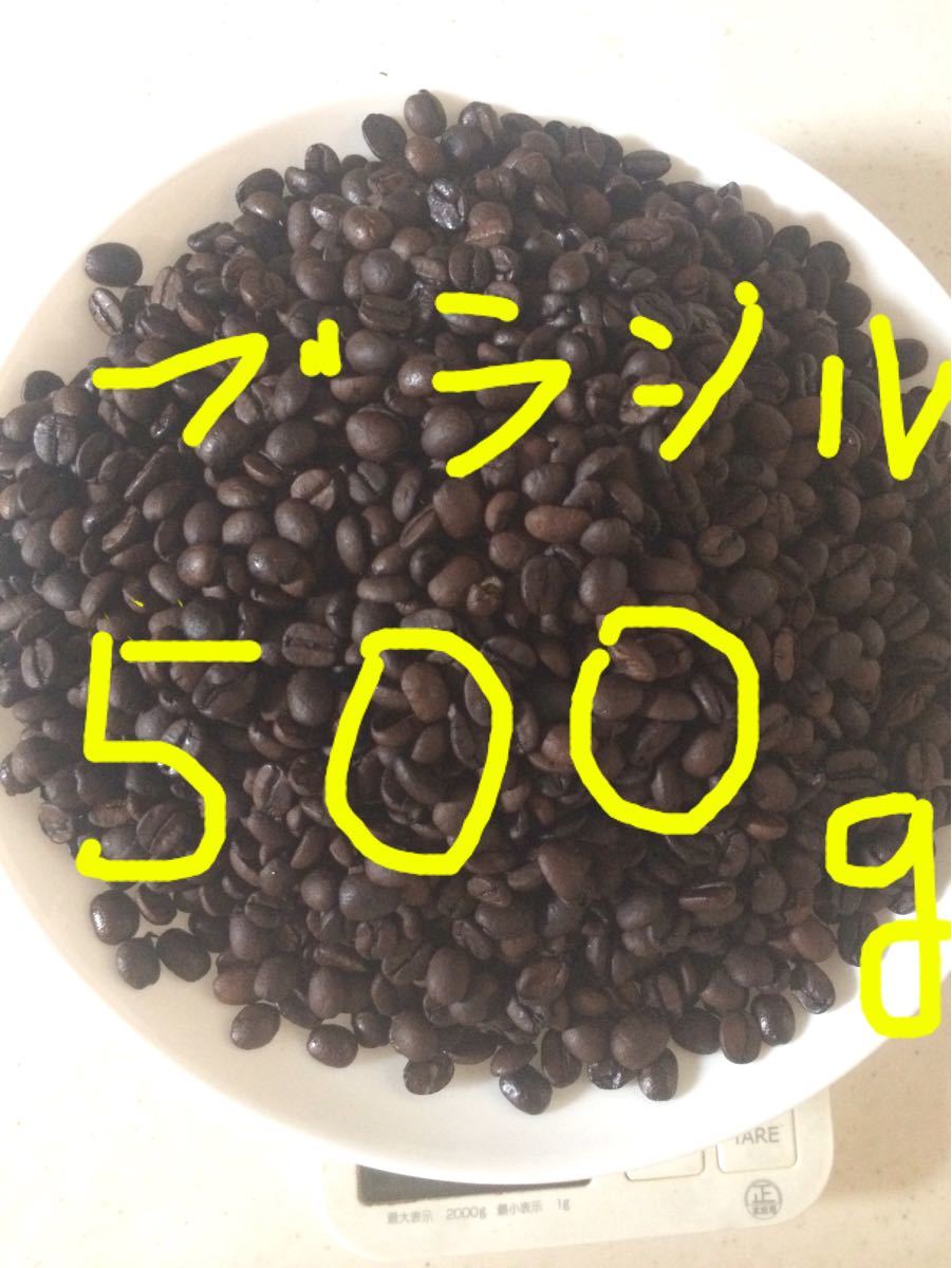 コーヒー豆 ブラジル 500g 中深煎り 自家焙煎珈琲 カルデミナス