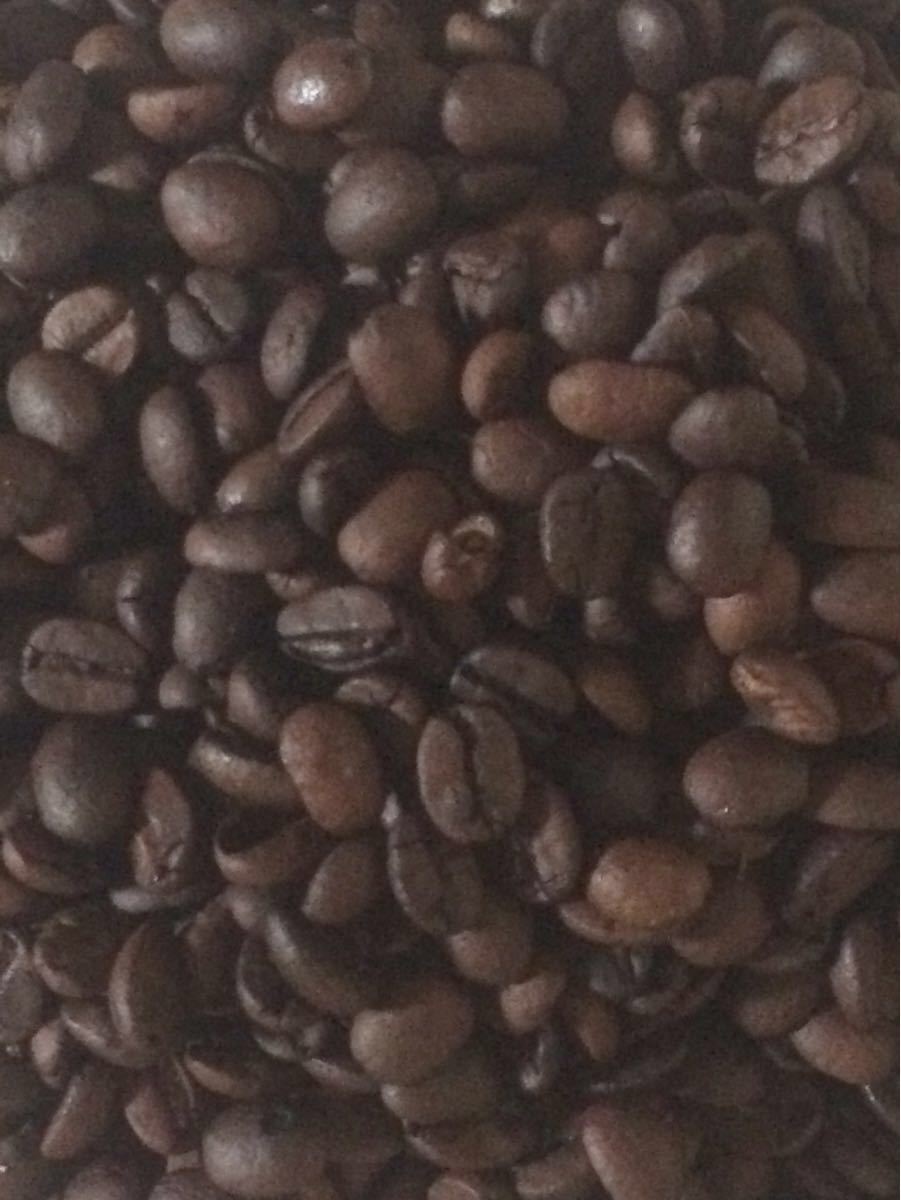 こだわりコーヒー豆 マンデリン 500g アチェ G-1 中深煎り 自家焙煎珈琲