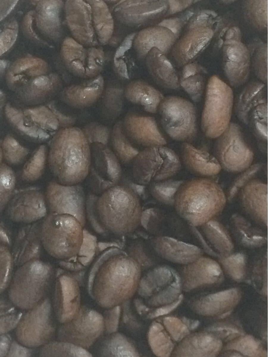 こだわりコーヒー豆 モカ 500g 中深煎り 自家焙煎珈琲 レケンプティ