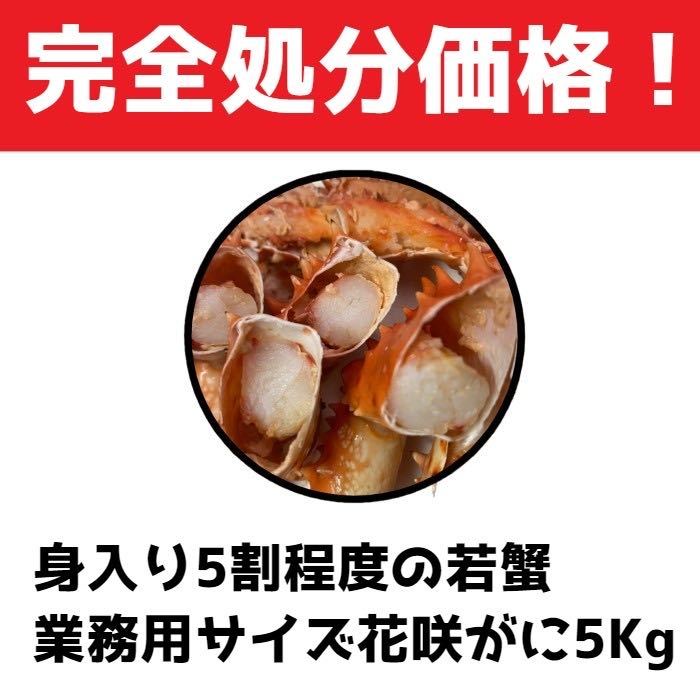 【魚市場処分品！】訳あり花咲ガニ　５kg（７～８尾入れ）　身入り４～５割程度Ｂ品　冷凍　ボイル　コロナ　大特価　応援_画像2