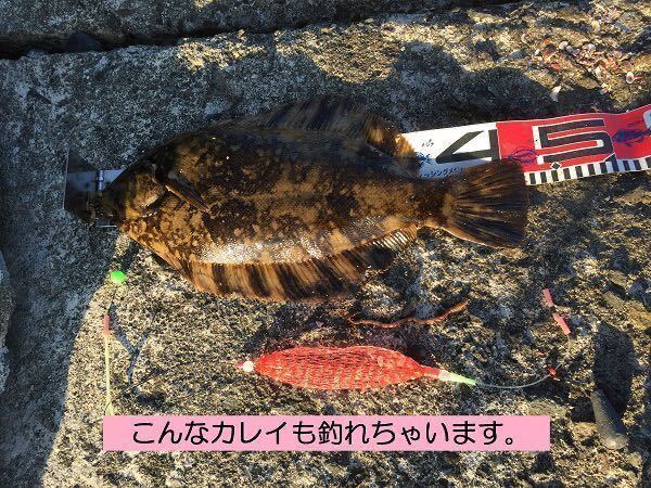 Ro 2個セット 手作り 投げ釣り 仕掛け 遊動式 オキアミ コマセ ネット ホッケ カレイ アブラコ アイナメ がまかつ 売買されたオークション情報 Yahooの商品情報をアーカイブ公開 オークファン Aucfan Com Ro 2個セット 手作り 投げ釣り 仕掛け 遊動式 オキアミ コマセ ネット ホッケ カレイ アブラコ アイナメ がまかつ 売買されたオークション情報 Yahooの商品情報をアーカイブ公開 オークファン Aucfan Com