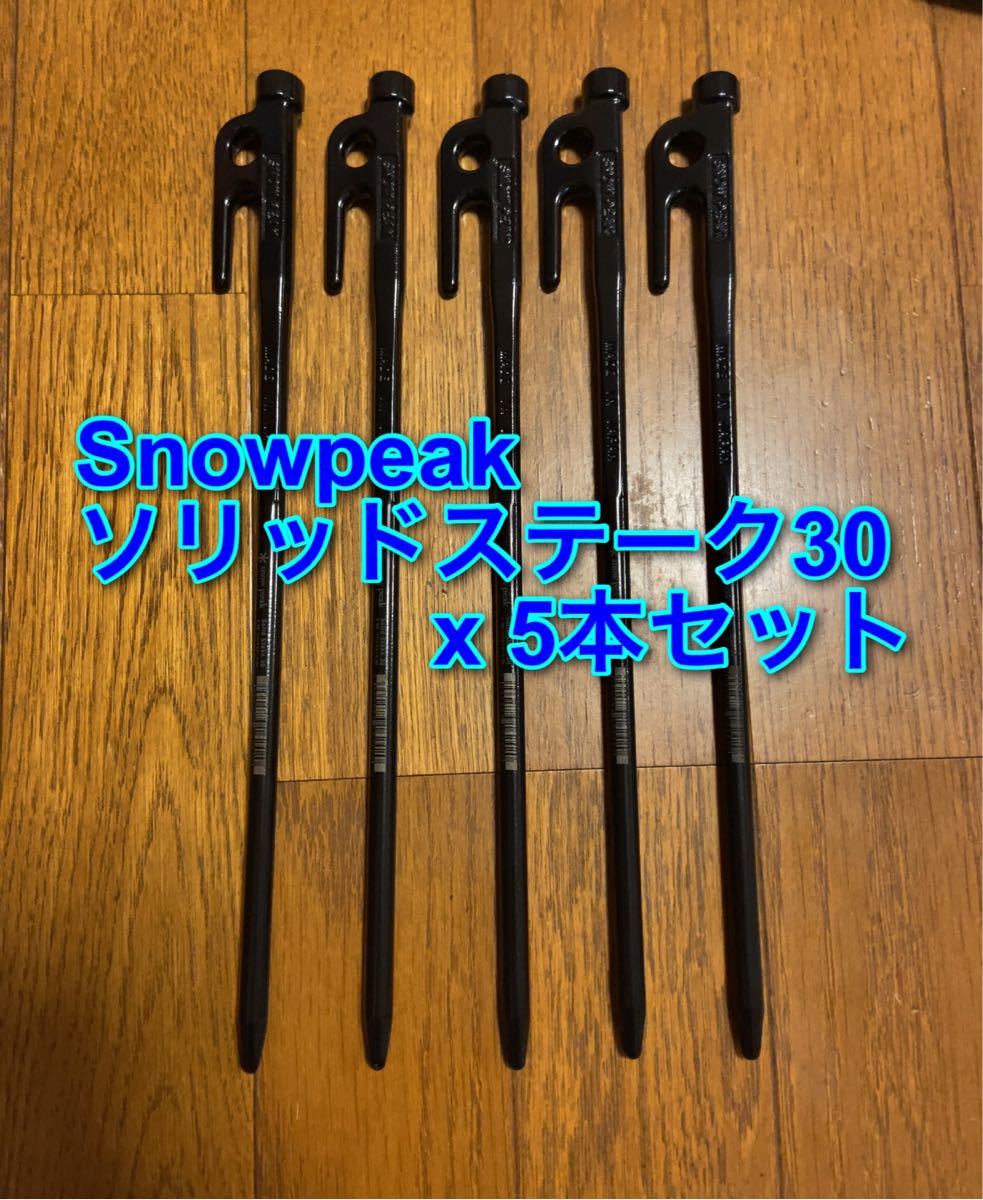 Snow peak スノーピーク ソリッドステーク 30 5本セット　新品