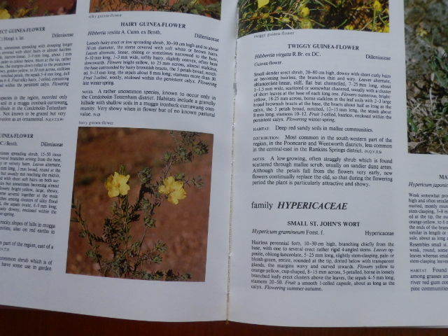 PLANTS of Western New South Wales（ニューサウスウェールズ州西部の植物）1992年 INKATA PRESS オーストラリア