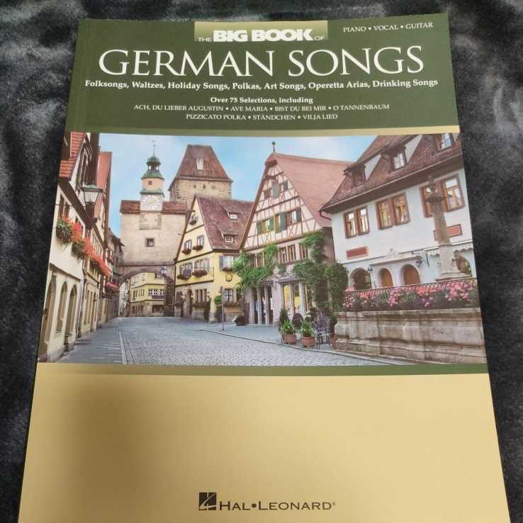 送料無料 ジャーマンソング集 ピアノ ギターコード ボーカル 75曲以上 222ページ ドイツ