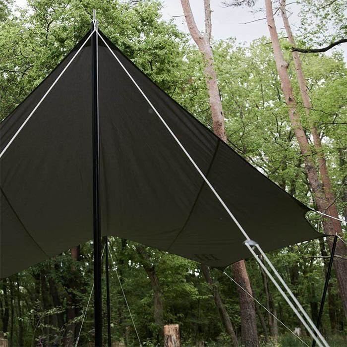 テントポール タープポール黒 2本セット 伸縮 丈夫 設営 キャンプ 収納袋付き 調整可能 軽量