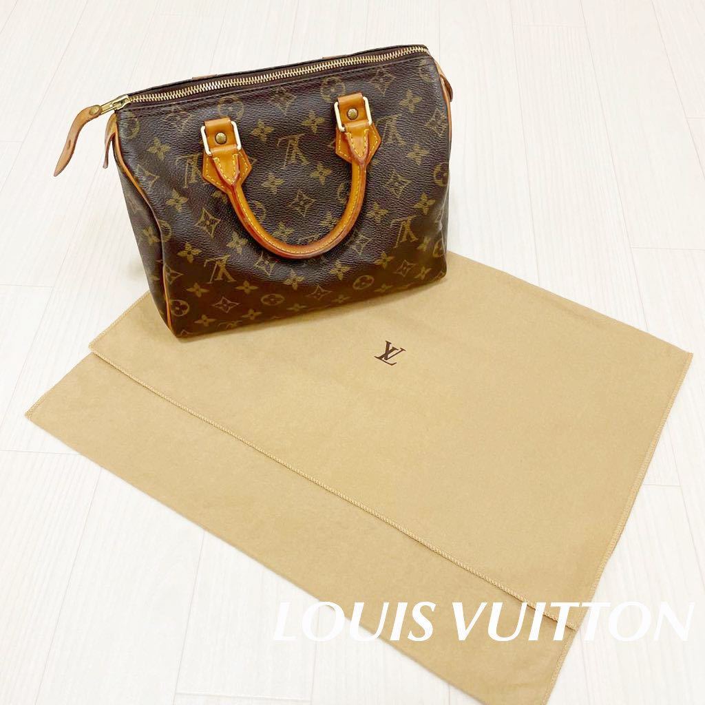 LOUIS VUITTON ルイヴィトン スピーディ25 モノグラム ハンドバッグ ルイヴィトンスピーディ 保存袋_画像1