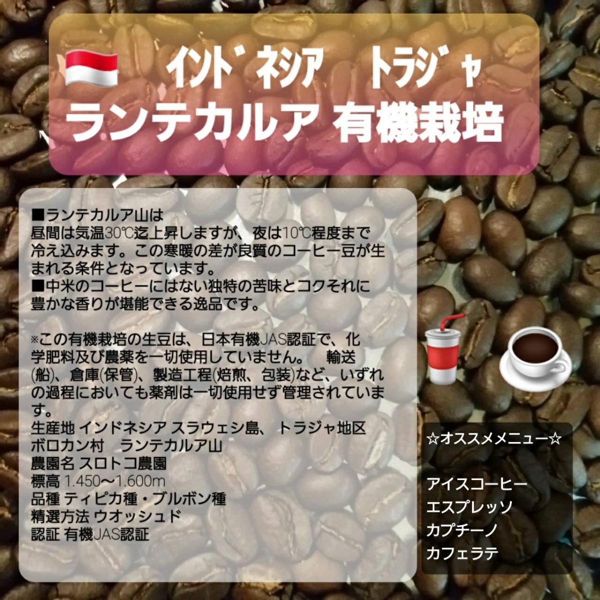 ④自家焙煎屋　コーヒー豆　SPECIAL4種類セット　600g
