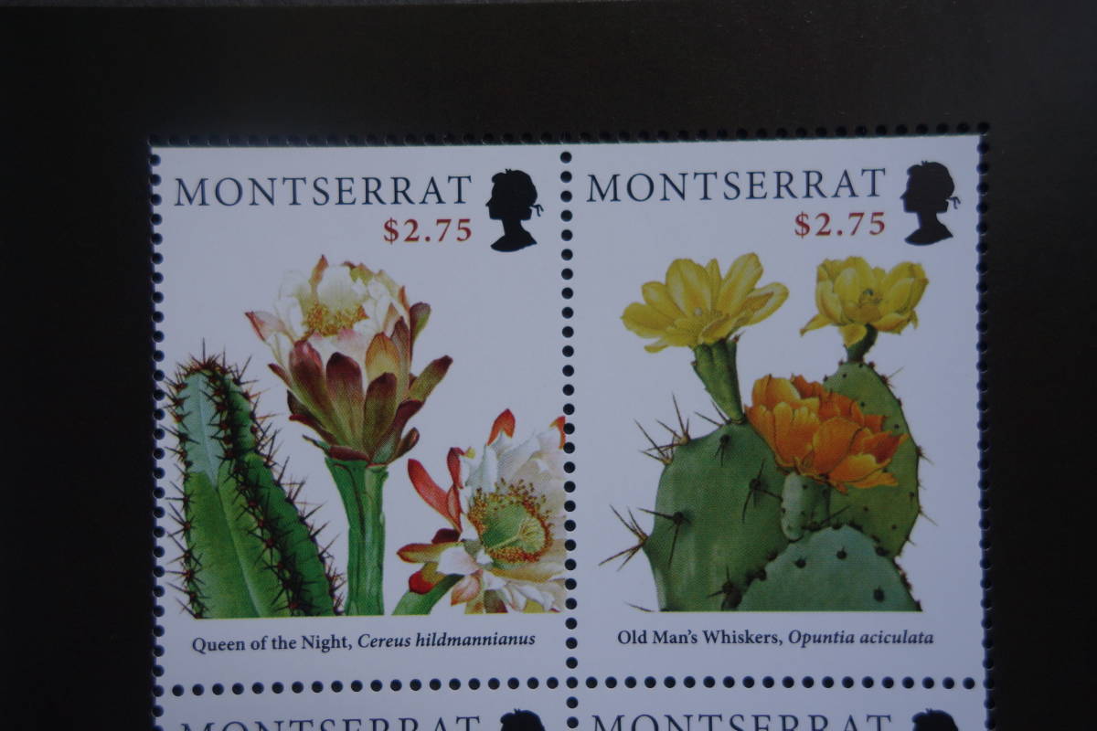  foreign stamp :( England. abroad . earth )monto Sera to island stamp [ Carib region. cactus ] 4 surface m/s unused 