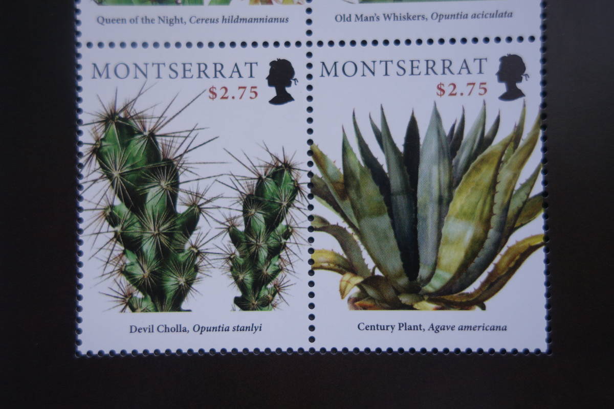  foreign stamp :( England. abroad . earth )monto Sera to island stamp [ Carib region. cactus ] 4 surface m/s unused 