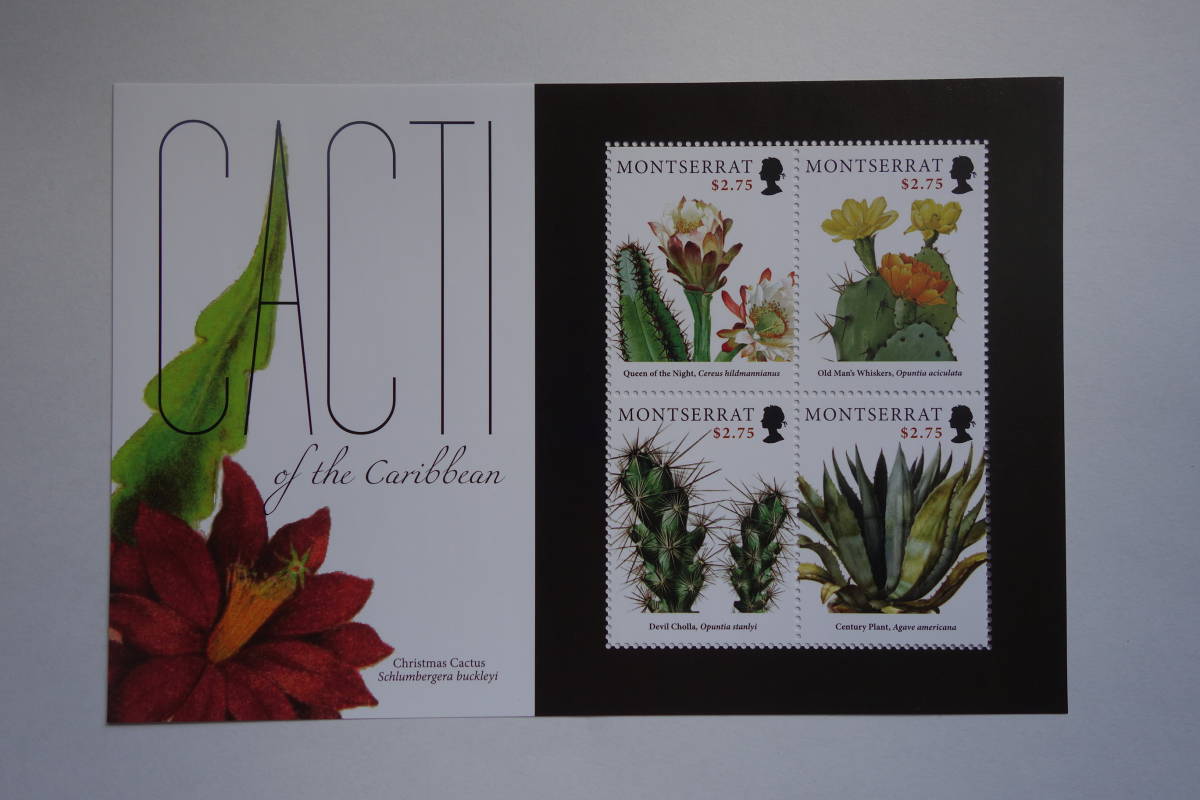  foreign stamp :( England. abroad . earth )monto Sera to island stamp [ Carib region. cactus ] 4 surface m/s unused 