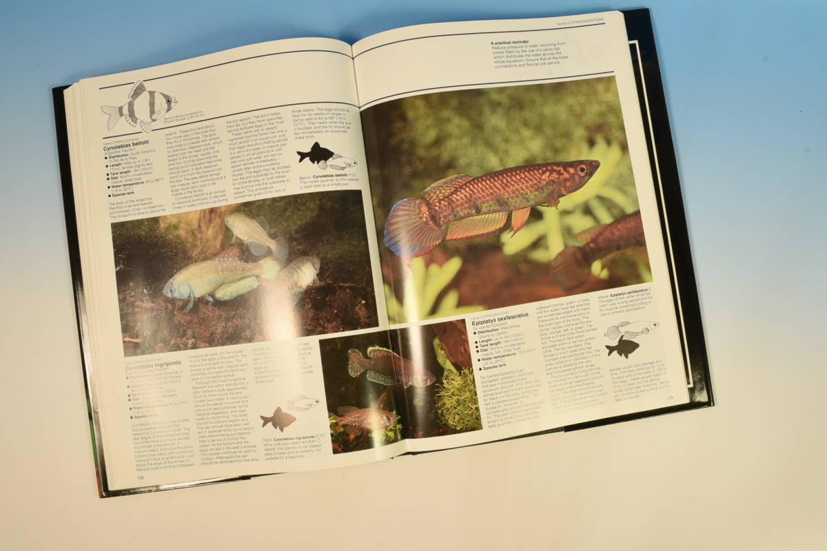 洋書　「TROPICAL AQUARIUM FISHES」ハードカバー・208ページ・写真多数_画像10