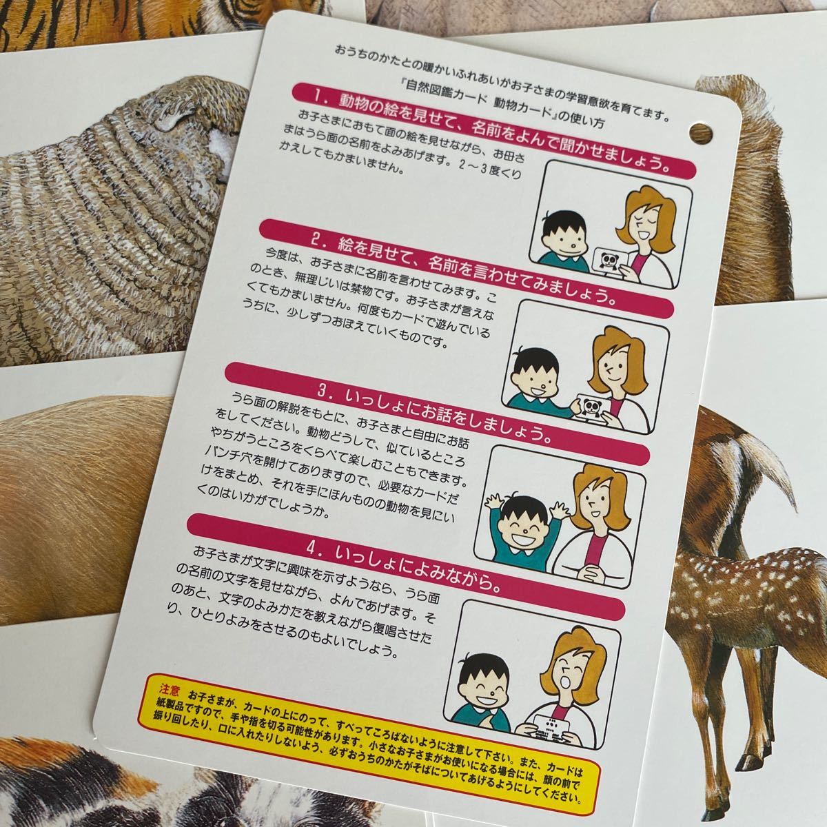 動物カード (くもんの自然図鑑カード)