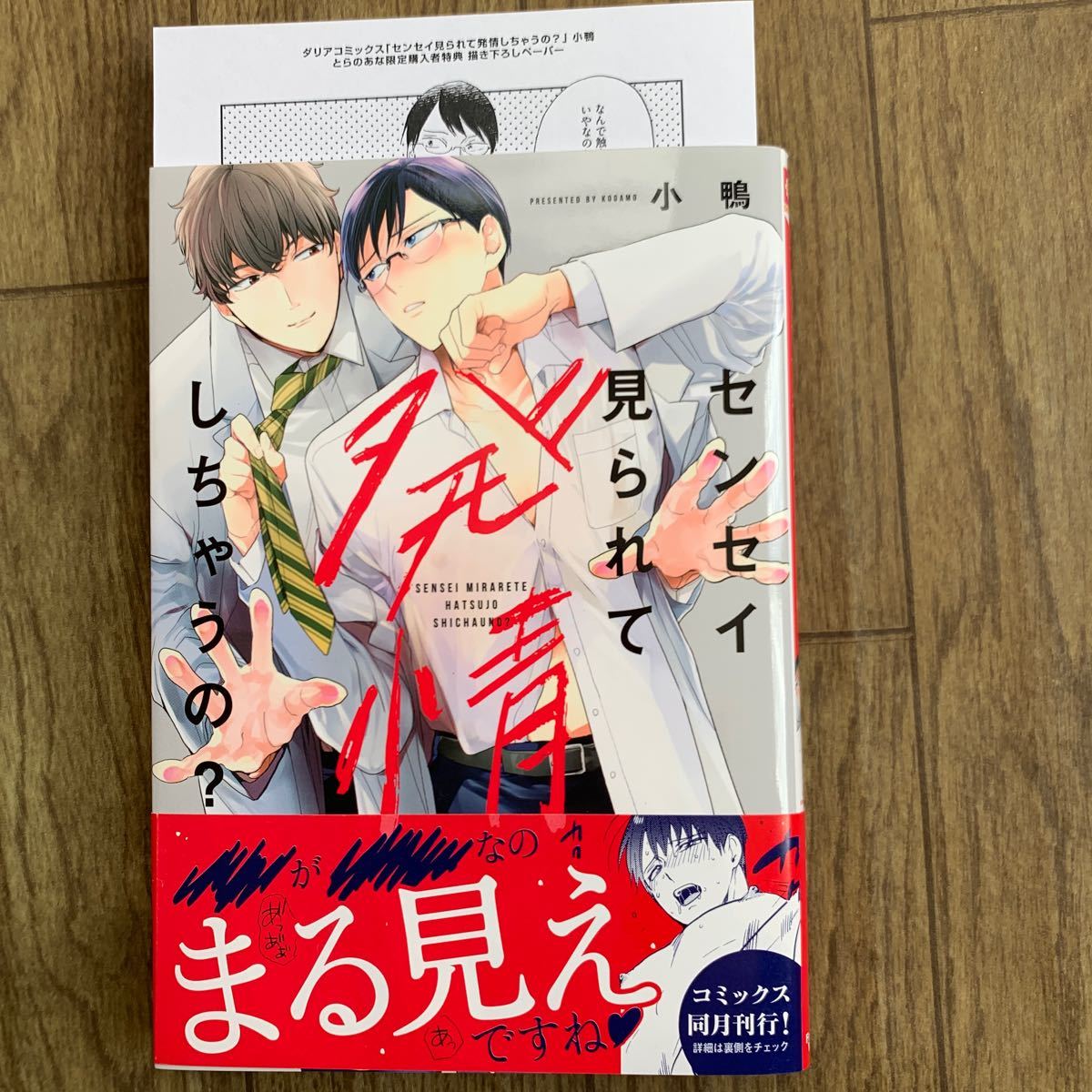 センセイ見られて発情しちゃうの？ 小鴨 とらのあな特典