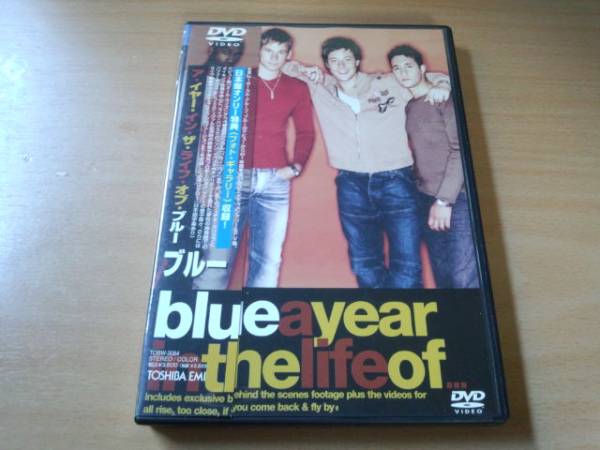 Blue DVD「ア・イヤー・イン・ザ・ライフ・オブ・ブルー」●