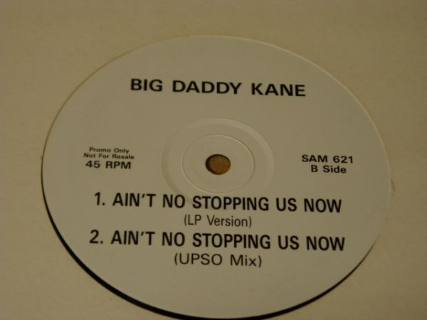 Big Daddy Kane - Ain't No Stopping Us Now Brixton Bass Mix_画像3