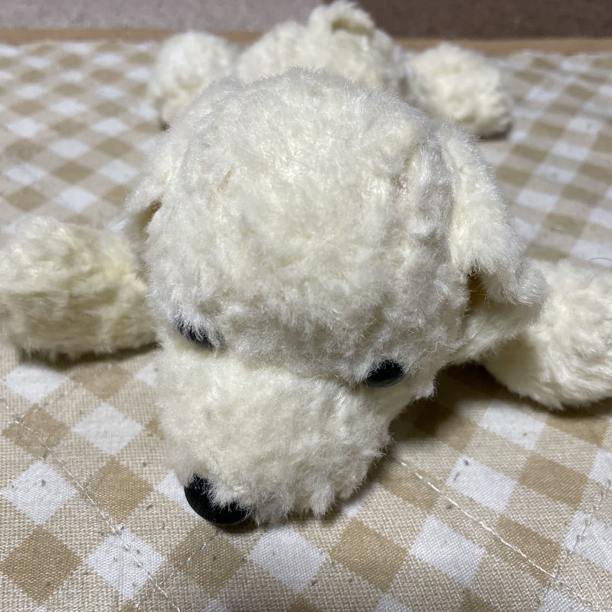 レア Como Ray くたくた犬 ぬいぐるみ マスコット コモアンドレイ イヌ一般 売買されたオークション情報 Yahooの商品情報をアーカイブ公開 オークファン Aucfan Com レア Como Ray くたくた犬 ぬいぐるみ マスコット コモアンドレイ イヌ一般 売買されたオークション情報 Yahooの商品情報をアーカイブ公開 オークファン Aucfan Com