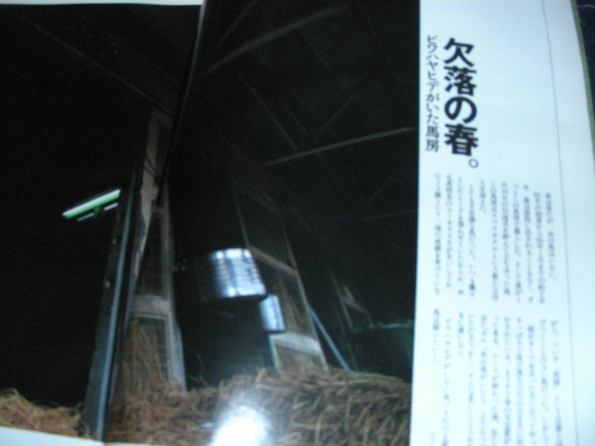 優駿 1995/４　「優駿ロングインタビュー」柴田政人新調教師 聞き手は本村雅人　９５春、GIシリーズ開幕 直前号_画像4