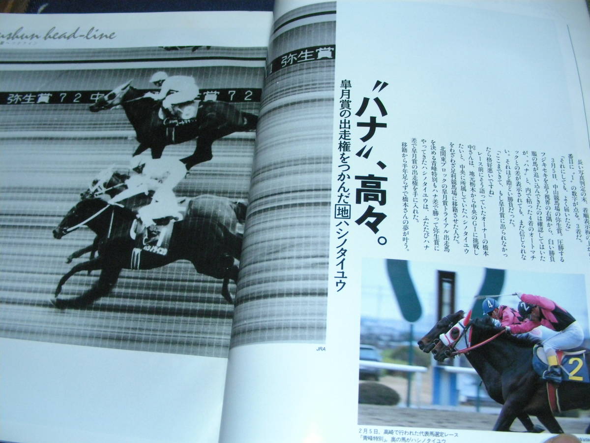 優駿 1995/４　「優駿ロングインタビュー」柴田政人新調教師 聞き手は本村雅人　９５春、GIシリーズ開幕 直前号_画像5