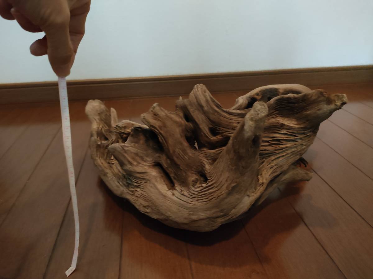 世界の 天然流木 水槽 1点物 アクアリウム オブジェ アート 47 35 18cm 大和川 爬虫類 とかげ ヘビ インテリア床の間 めだか 魚 隠れ家 レイアウト用品 Www Hospikennedy Med Ec 世界の 天然流木 水槽 1点物 アクアリウム オブジェ アート 47 35 18cm 大和川 爬虫類 とかげ ヘビ インテリア床の間 めだか 魚 隠れ家 レイアウト用品 Www Hospikennedy Med Ec