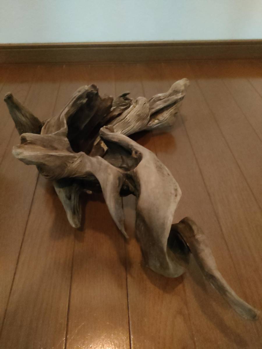 世界の 天然流木 水槽 1点物 アクアリウム オブジェ アート 47 35 18cm 大和川 爬虫類 とかげ ヘビ インテリア床の間 めだか 魚 隠れ家 レイアウト用品 Www Hospikennedy Med Ec 世界の 天然流木 水槽 1点物 アクアリウム オブジェ アート 47 35 18cm 大和川 爬虫類 とかげ ヘビ インテリア床の間 めだか 魚 隠れ家 レイアウト用品 Www Hospikennedy Med Ec
