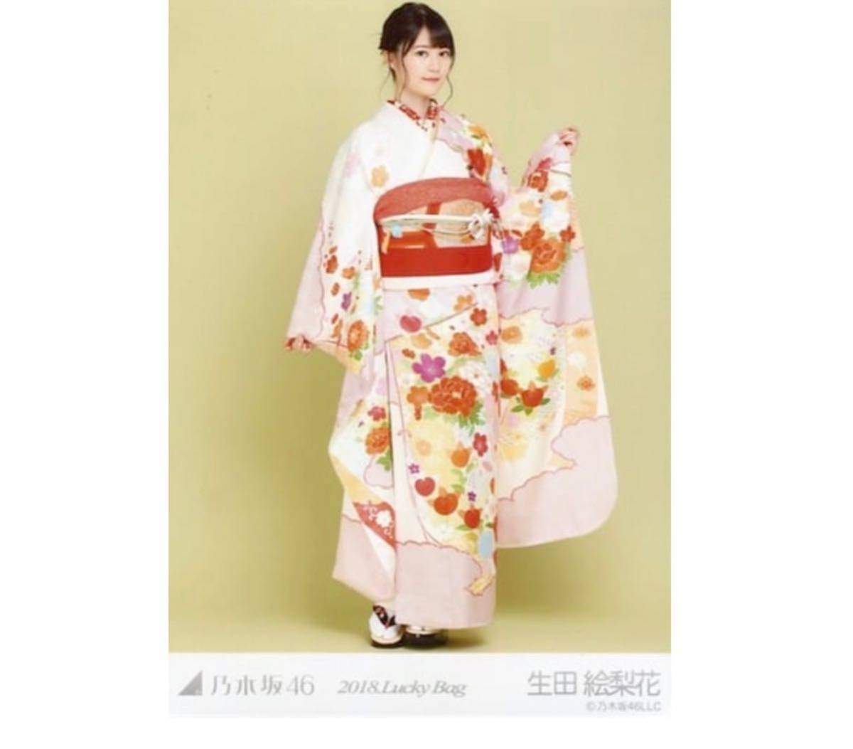  334 乃木坂46 生写真 公式グッズ 1枚　生田絵梨花　ヒキ　2018 福袋 LuckyBag 限定品　着物_画像1