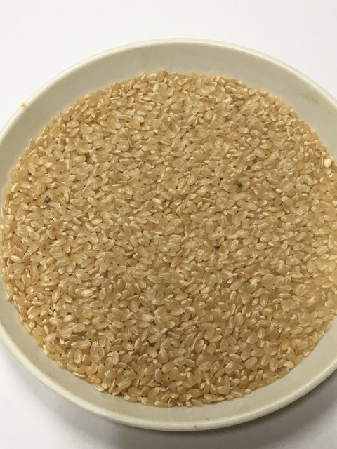 R3年産　自然栽培米　コシヒカリ（玄米）　10ｋｇ　山梨県産_画像3
