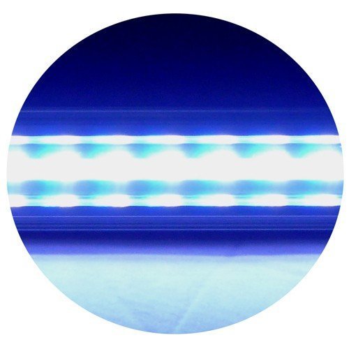 【送料無料】ゼンスイ LEDプラス 90cm シャイニングブルー LED照明 管理120_画像4