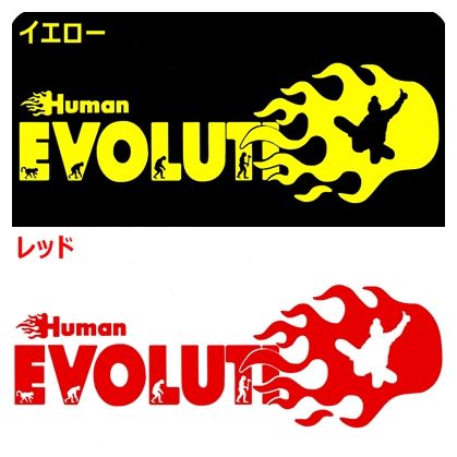(30cm) 炎上-人類の進化【スノーボード編Ｂ】ステッカーDC1_画像2