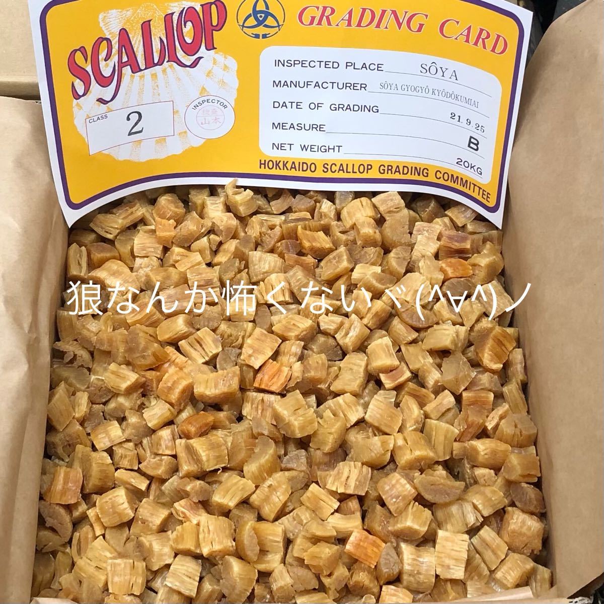 北海道産乾燥帆立貝柱 割れ品（B2）1kg（100g×10袋）ホタテ貝柱 貝柱 