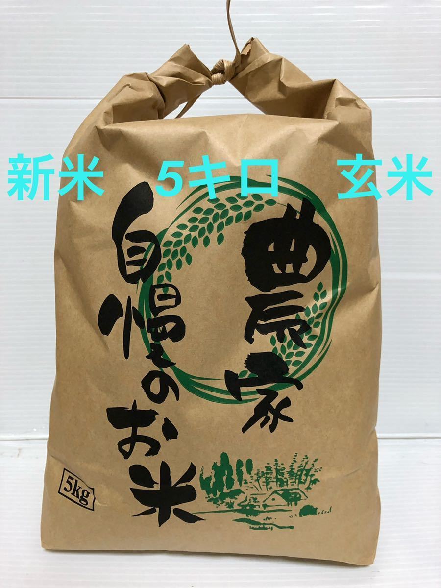【値下げ】令和3年(2021年)収穫　コシヒカリ玄米5キロ　三重県産_画像1