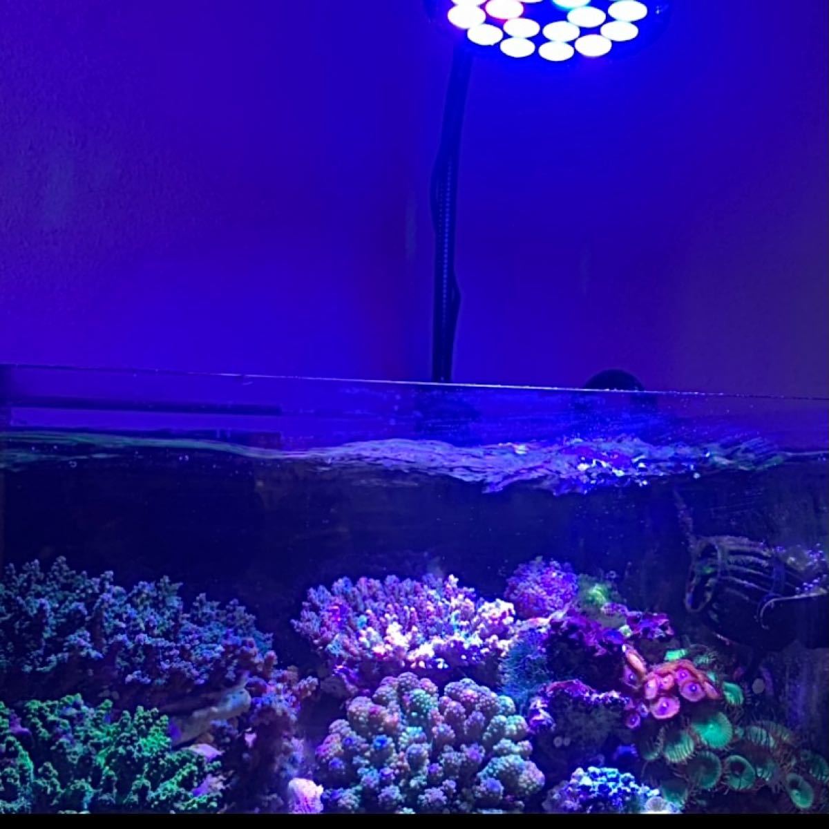 AB海水サンゴ水槽アクアリウムライト54w 高輝度プリズムLED AB海水サンゴ水槽アクアリウムライト54w 高輝度プリズムLED