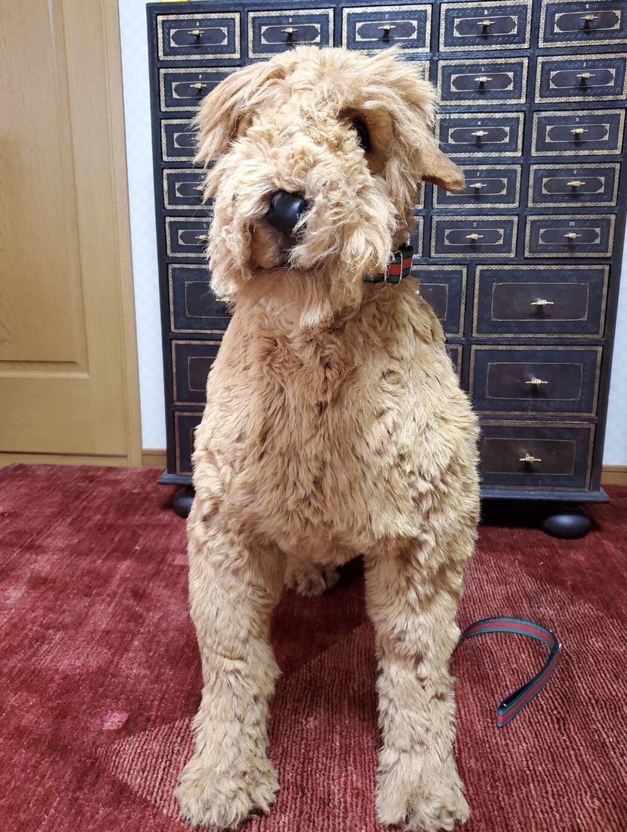 { free shipping }Piutre Italy air Dale terrier # soft toy # dog # dog #Airedale Terrier