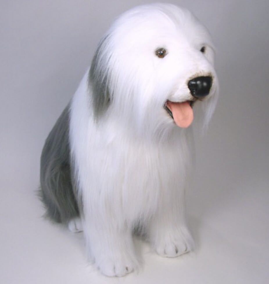 { free shipping }Piutre Italy Old wing lishu sheep dog # dog # dog #Old English Sheepdog