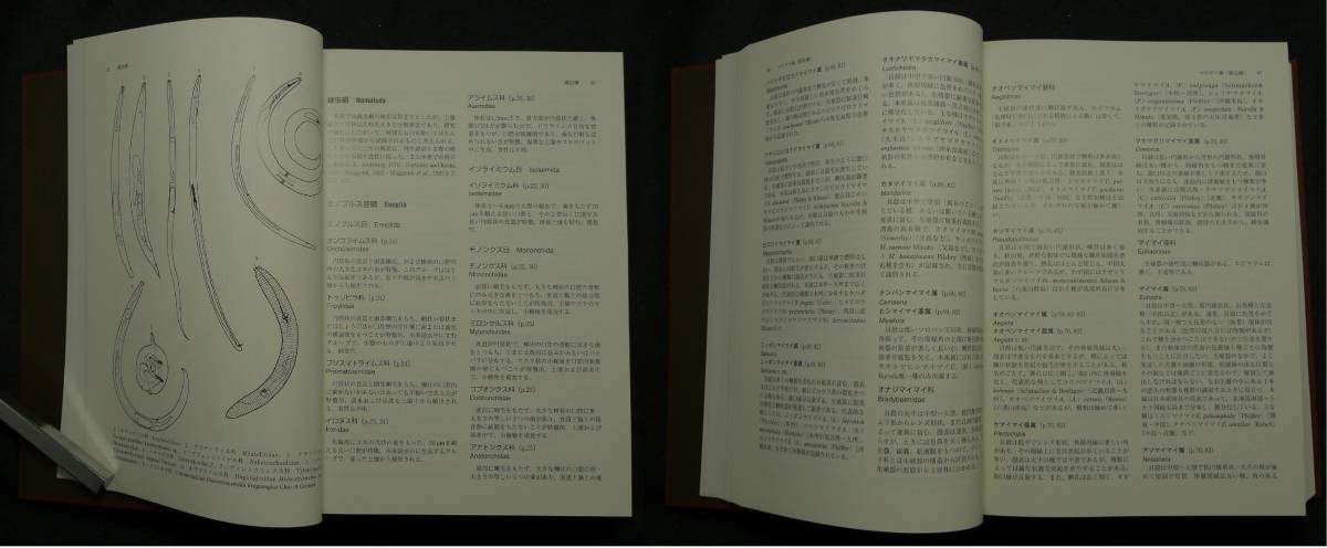 超希少,初版,美品】古本 日本産土壌動物 分類のための図解検索 超希少,初版,美品】古本 日本産土壌動物 分類のための図解検索