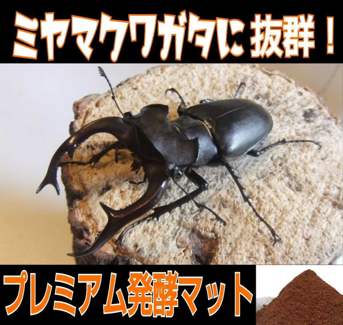 カブトムシの幼虫を入れるだけ！便利です！プレミアム発酵マット4400mlケース付き☆微粒子3次発酵！栄養添加剤・共生バクテリア３倍配合！_画像8